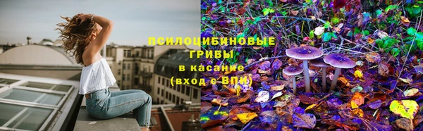 трава Армянск